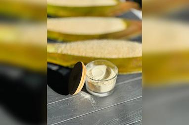 گرده نخل چیست؟ خواص، کاربردها و روش مصرف گرده خرما